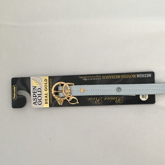 Aspen Gold Blue Collar - Picture 5 of 5